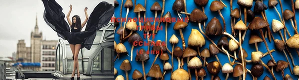 хмурый Белоозёрский