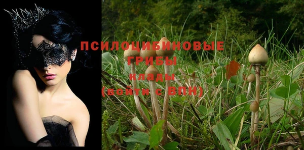 сатива Богданович