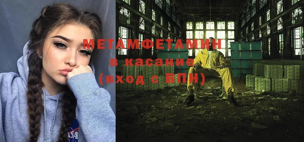 сатива Богданович