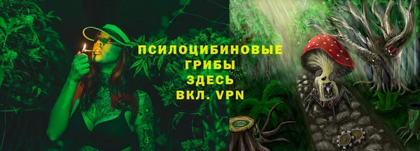 COCAINE Богородицк