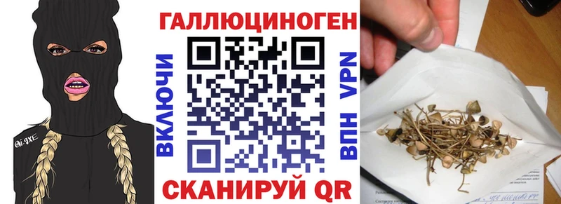 дарнет шоп  Коркино  Псилоцибиновые грибы Cubensis 